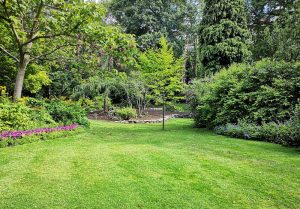 Optimiser l'expérience du jardin à Bovelles